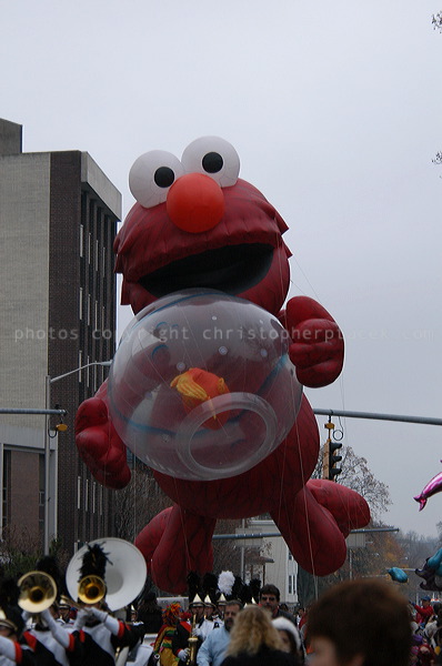 dsc_3925.jpg