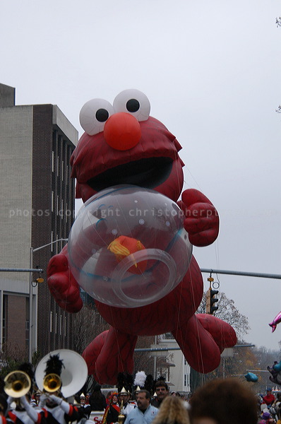 dsc_3926.jpg