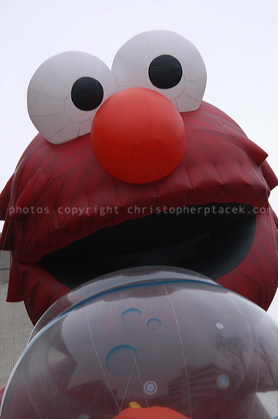 dsc_3930.jpg