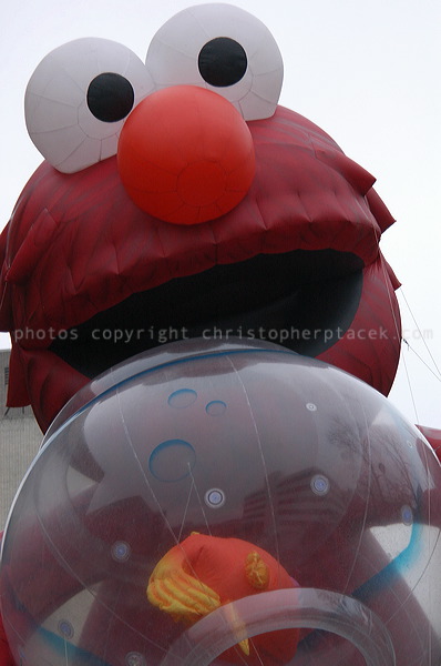 dsc_3931.jpg
