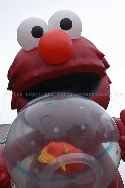 dsc_3932.jpg