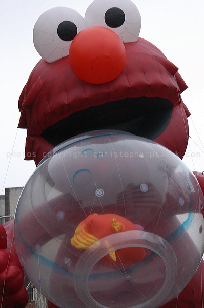 dsc_3933.jpg