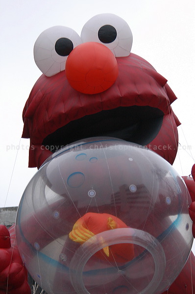 dsc_3934.jpg