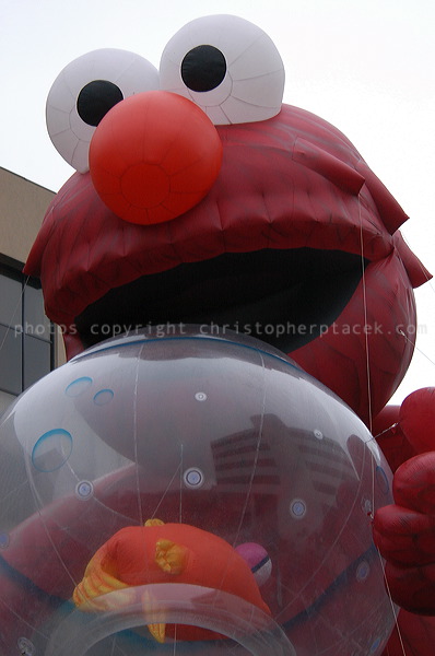 dsc_3948.jpg