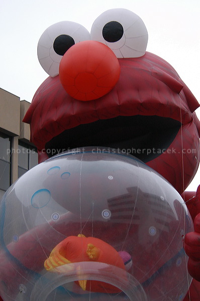 dsc_3949.jpg