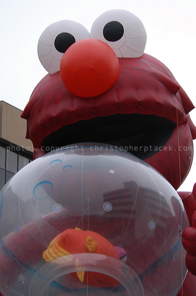dsc_3950.jpg