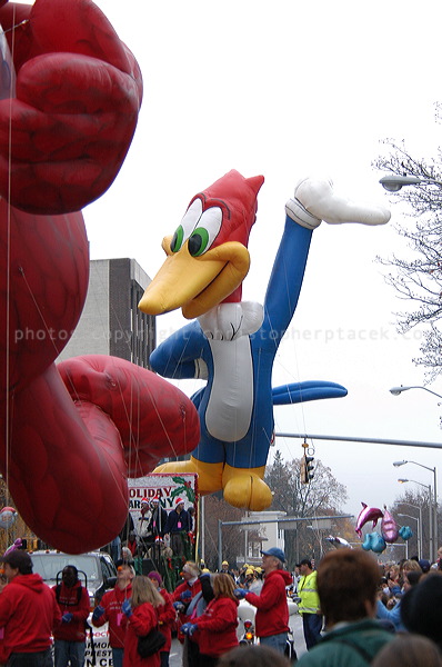 dsc_3951.jpg
