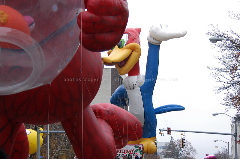 dsc_3954.jpg