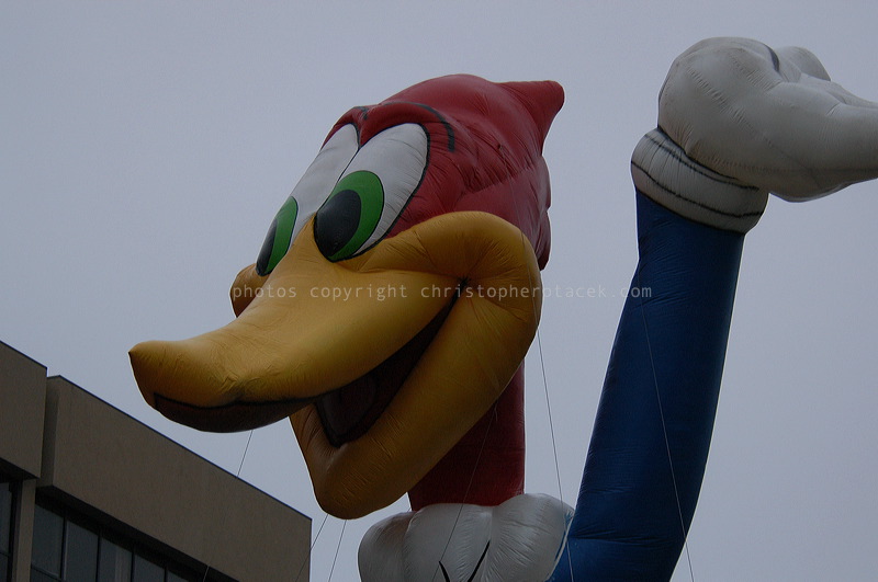 dsc_3965.jpg