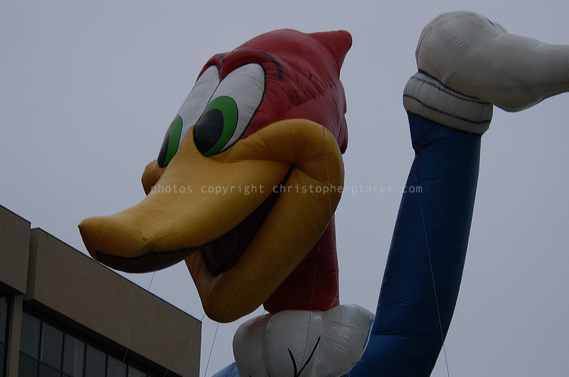 dsc_3966.jpg
