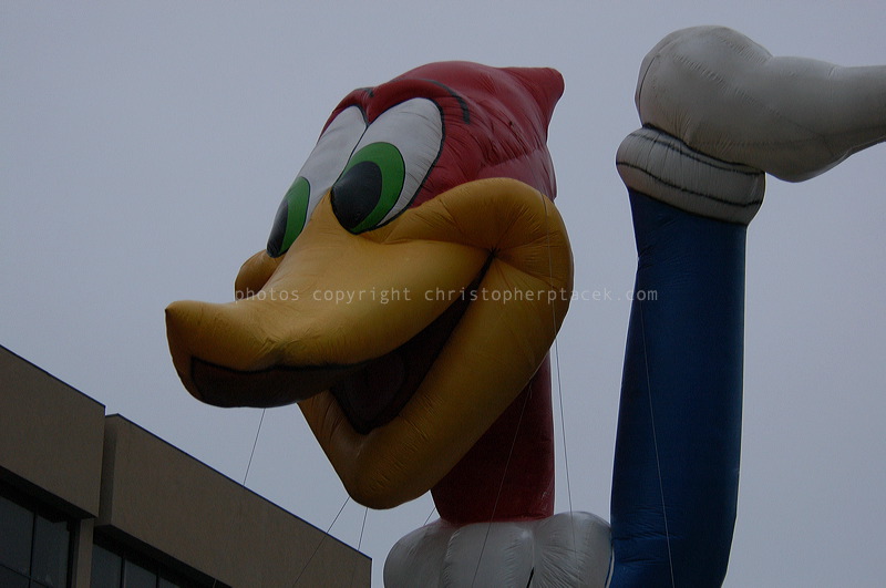 dsc_3967.jpg
