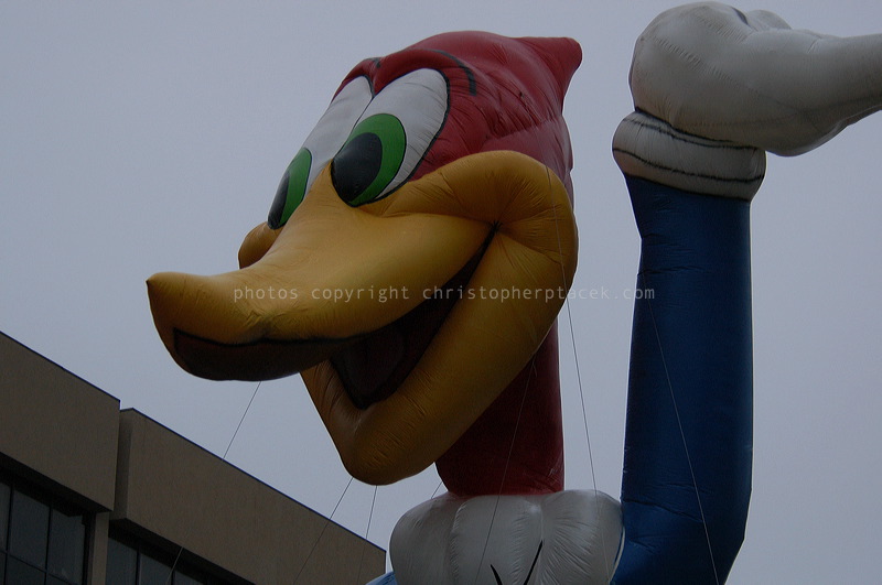 dsc_3968.jpg