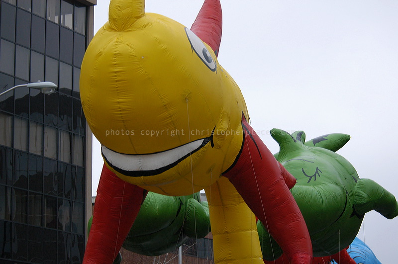 dsc_3976.jpg