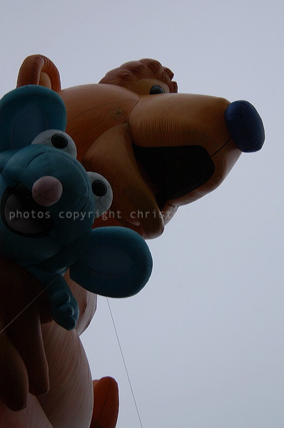 dsc_4078.jpg