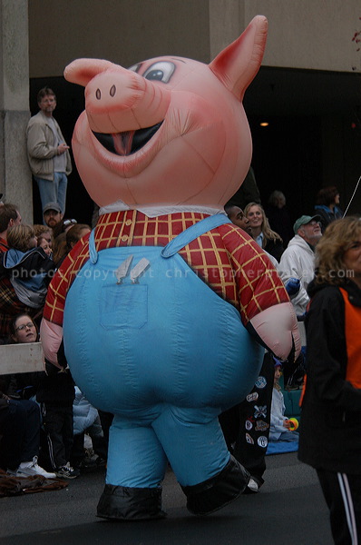 dsc_4133.jpg