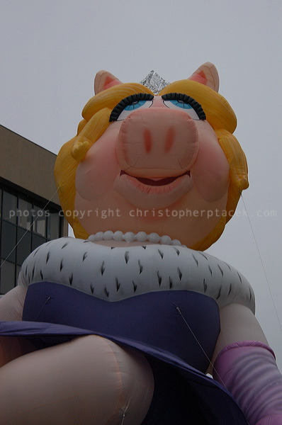 dsc_4138.jpg