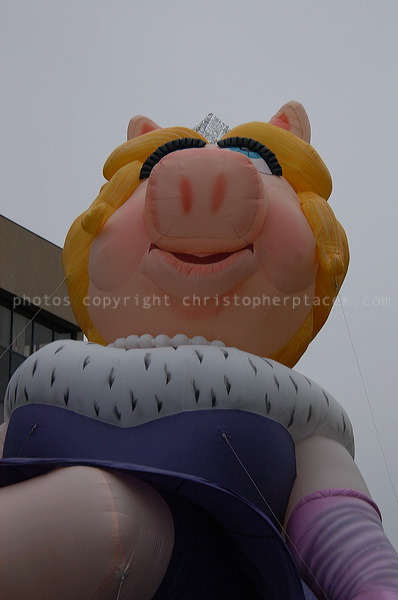 dsc_4139.jpg