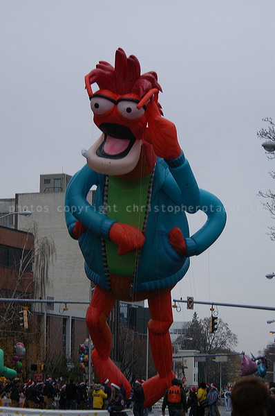 dsc_4149.jpg