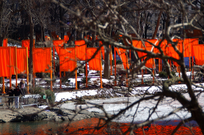 dsc_4482.jpg