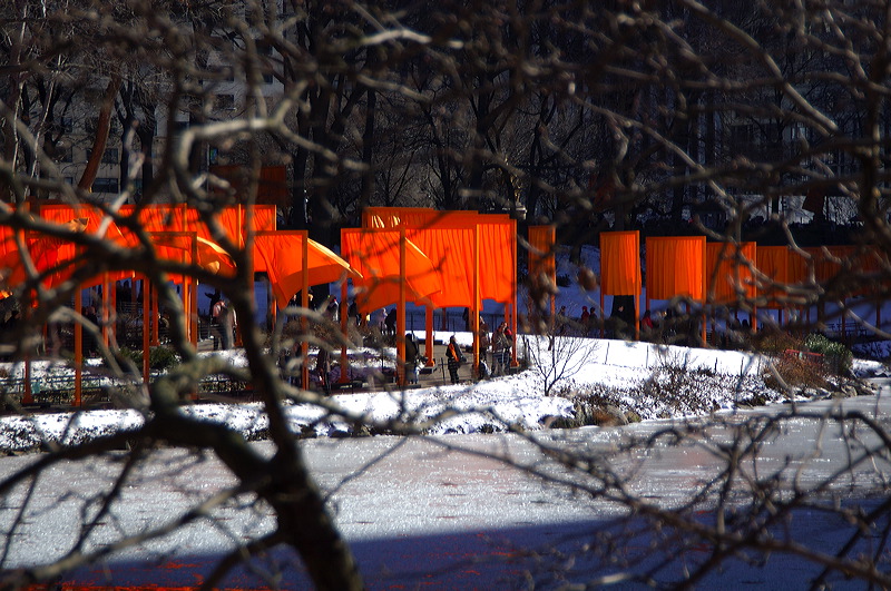 dsc_4483.jpg