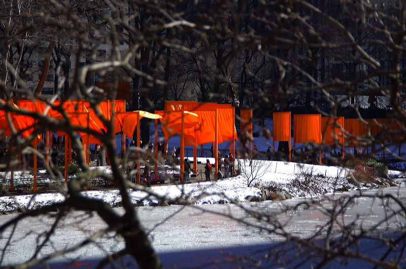 dsc_4485.jpg