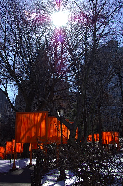 dsc_4489.jpg
