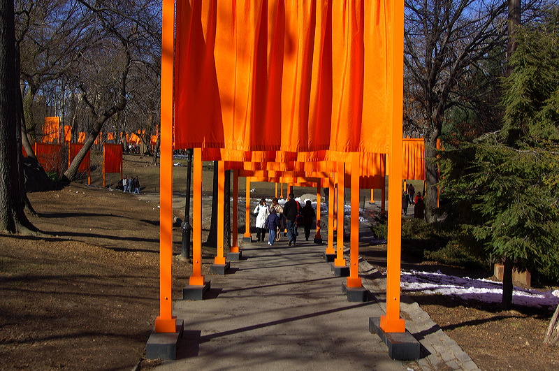 dsc_4493.jpg