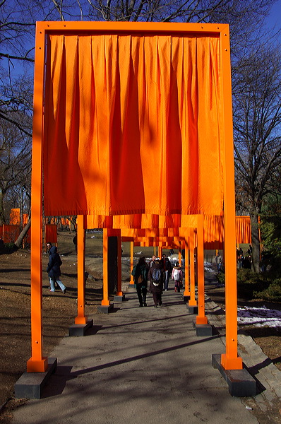 dsc_4498.jpg