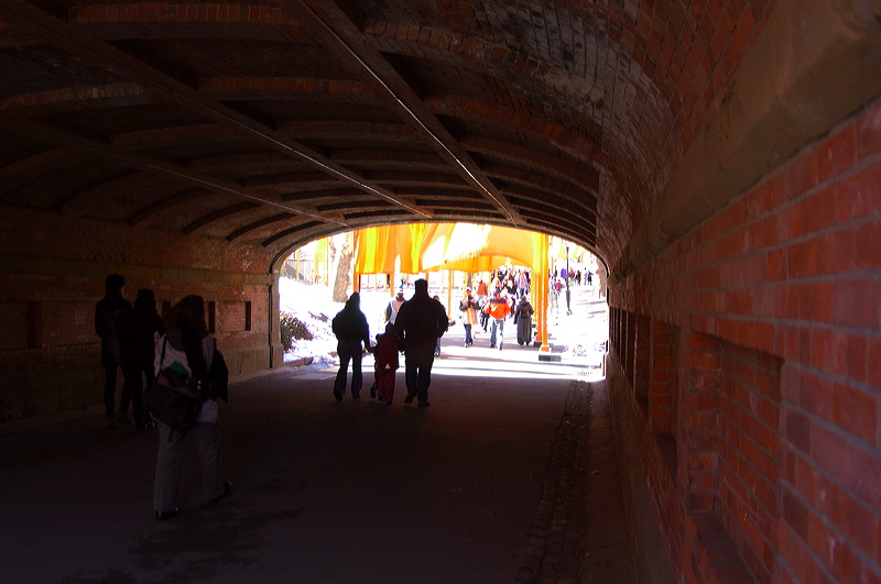 dsc_4503.jpg
