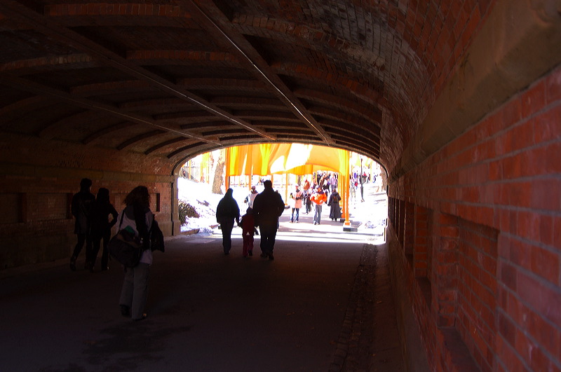 dsc_4504.jpg