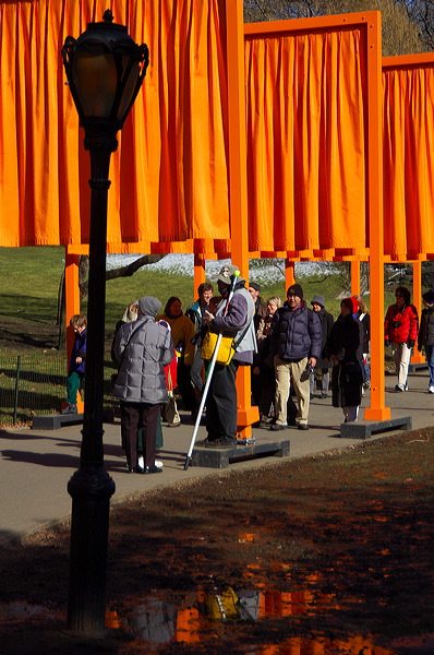 dsc_4509.jpg