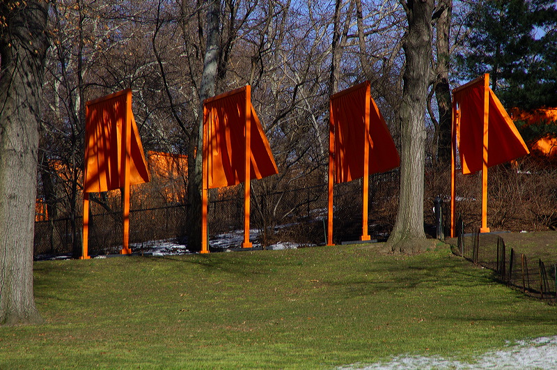dsc_4511.jpg
