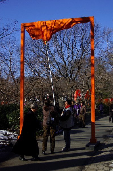 dsc_4575.jpg