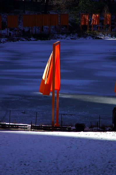 dsc_4603.jpg