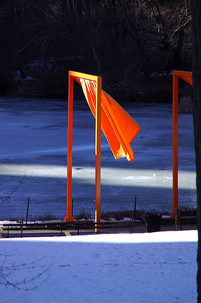 dsc_4607.jpg