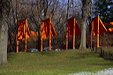 dsc_4511