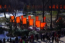 dsc_4544