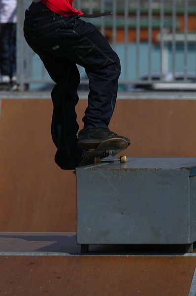 dsc_4824.jpg