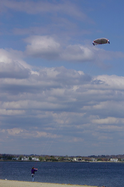 dsc_4848.jpg