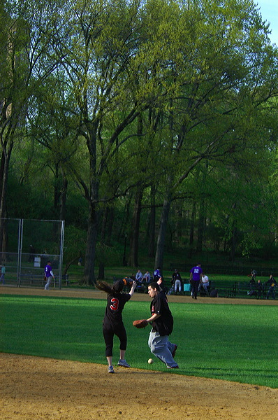 dsc_4954.jpg