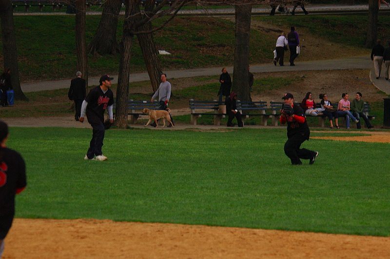 dsc_5025.jpg