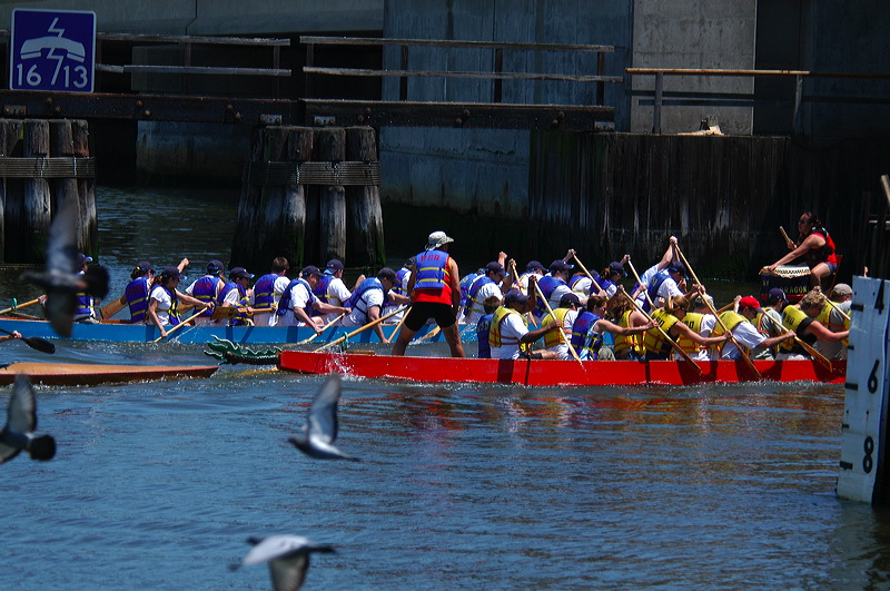 dsc_5240.jpg