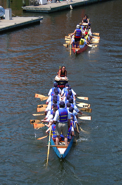 dsc_5261.jpg