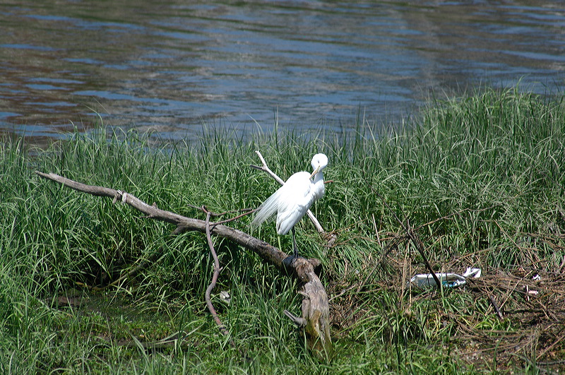 dsc_5267.jpg