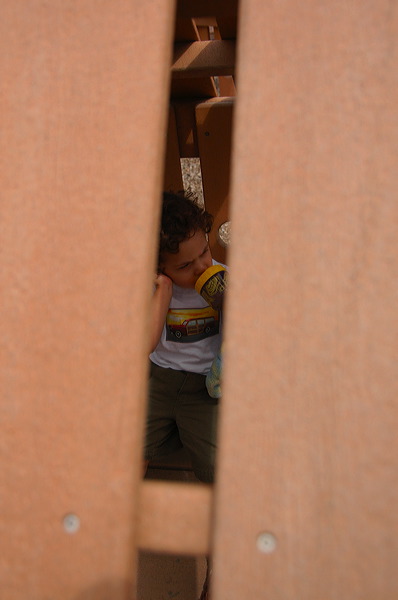 dsc_5412.jpg