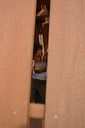 dsc_5413
