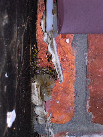 dscn0356.jpg