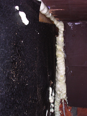 dscn0379.jpg