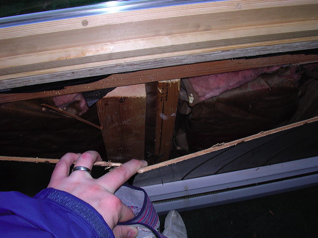 dscn0383.jpg