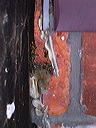 dscn0356